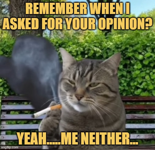 So please stop giving me ur opinion
