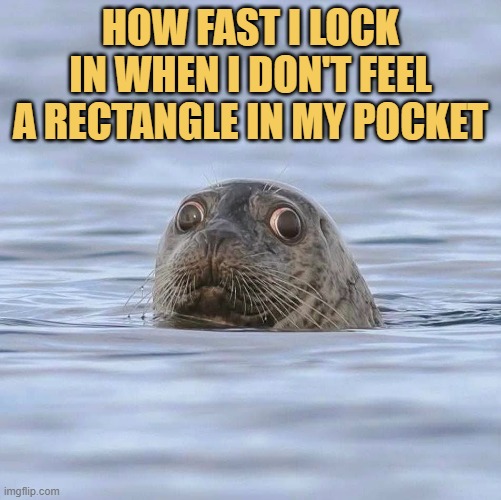 Lost my money bag
