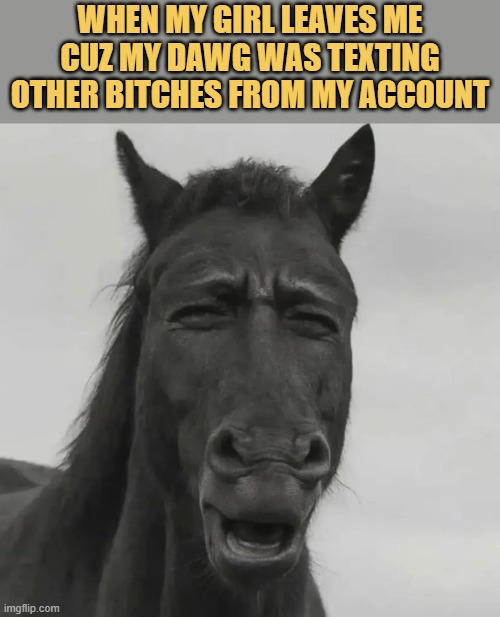 it wasn't me my babe meme