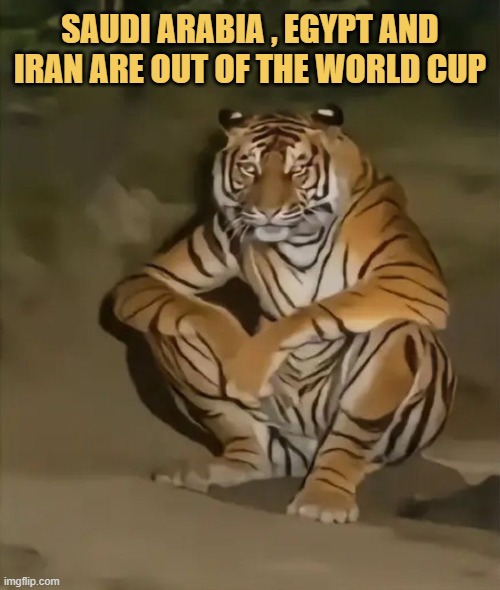 Arab nations are out