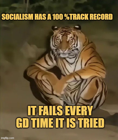 socialism fails meme