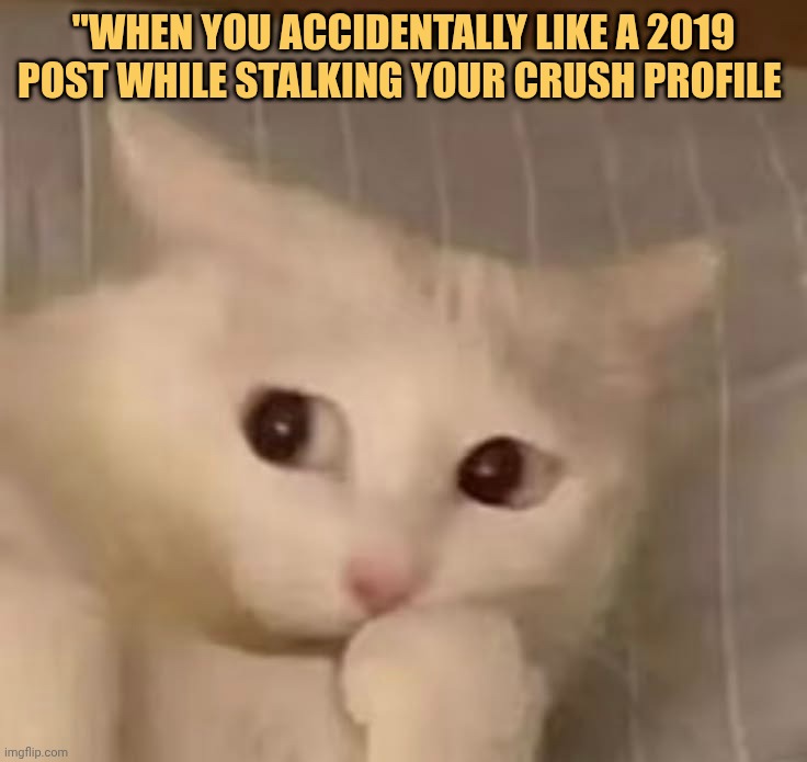 oh no what did i do meme