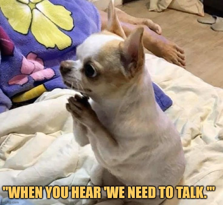 Sorry no talk
