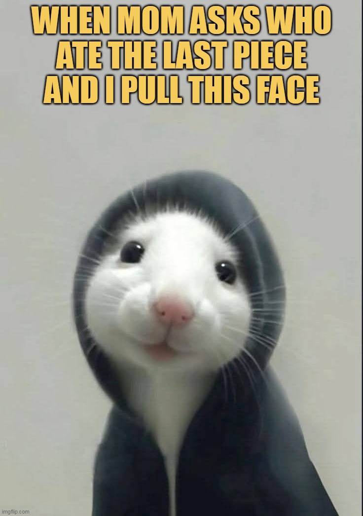 i did not eat mom