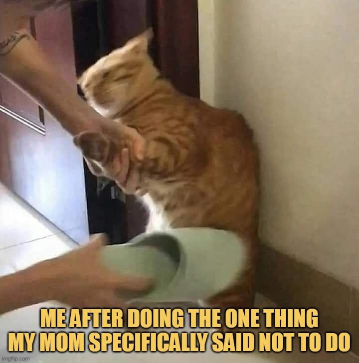 I am sorry mom