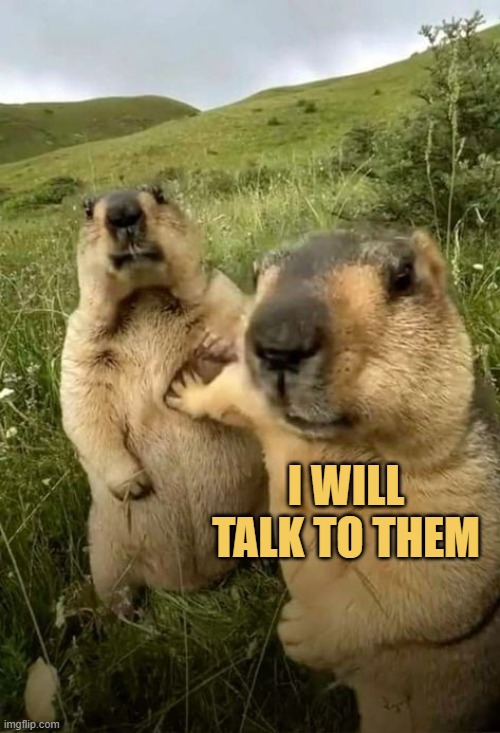 When Somoy or Raj see someone spamming, Farris be like ...