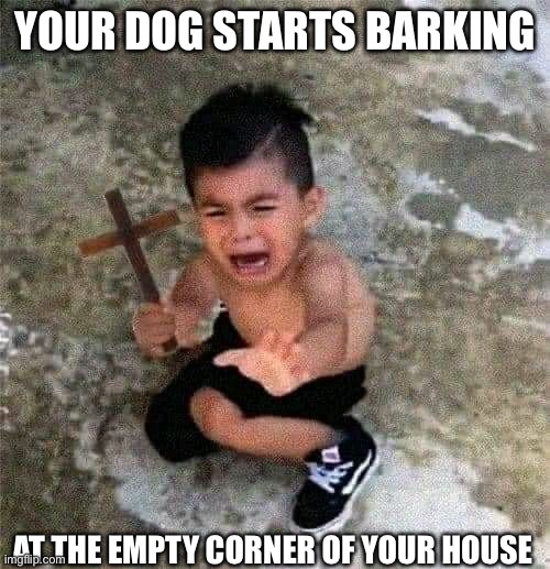 man’s bestfriend meme