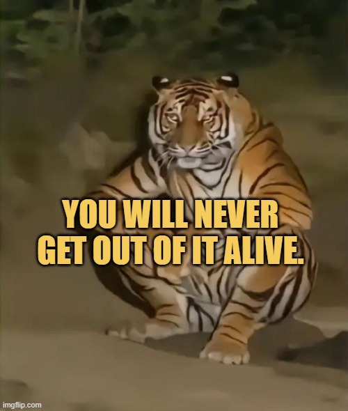 Do not take life too seriously.