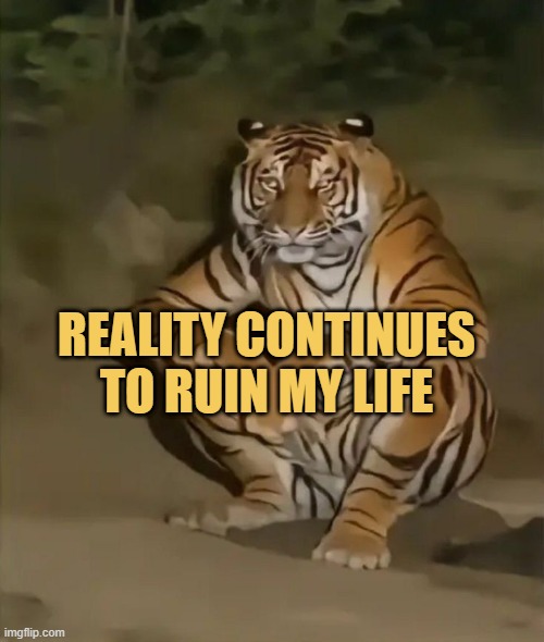 Reality continues to ruin my life