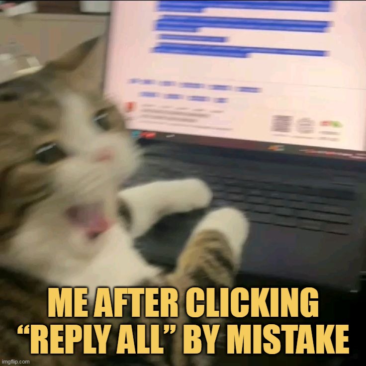 I am sorry for that