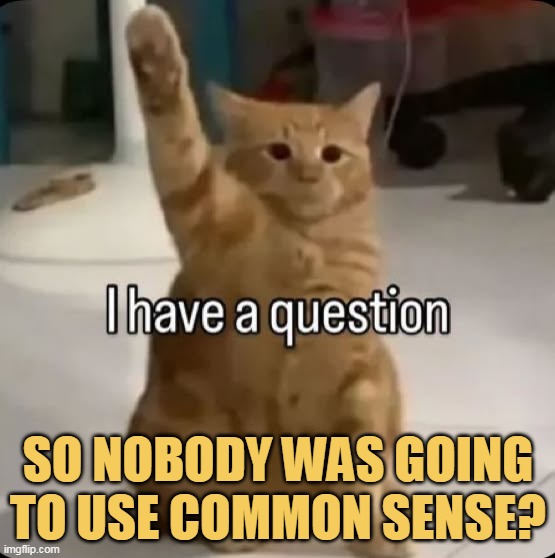 Please Answer me