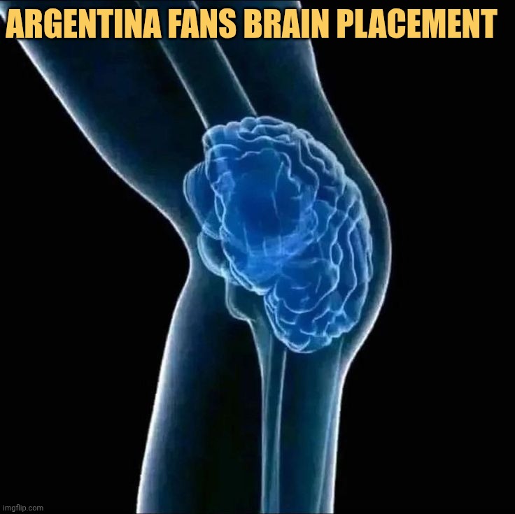Argentina fans literally