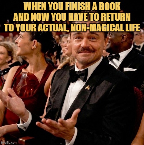 Finishing a good book and remembering I actually have to live my life now meme