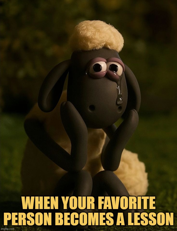 this is very harsh meme