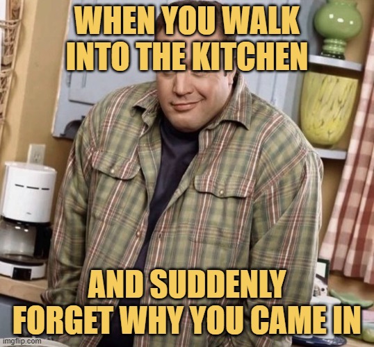 and suddenly forget why you came in.jfif meme