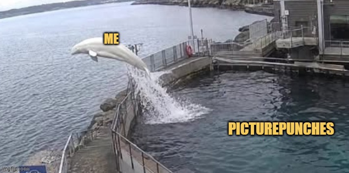 enough picturepunches for today. it's time to post on other social medias. meme