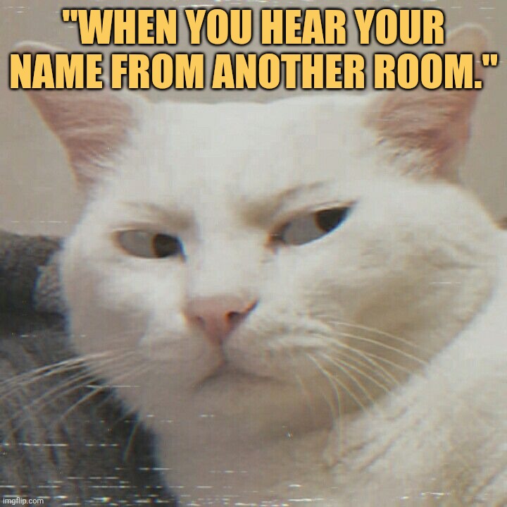 why they're whispering my nme meme