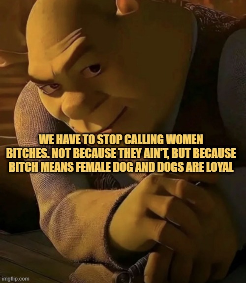 these hoes ain't loyal meme