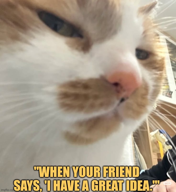 i don't trust you brother meme