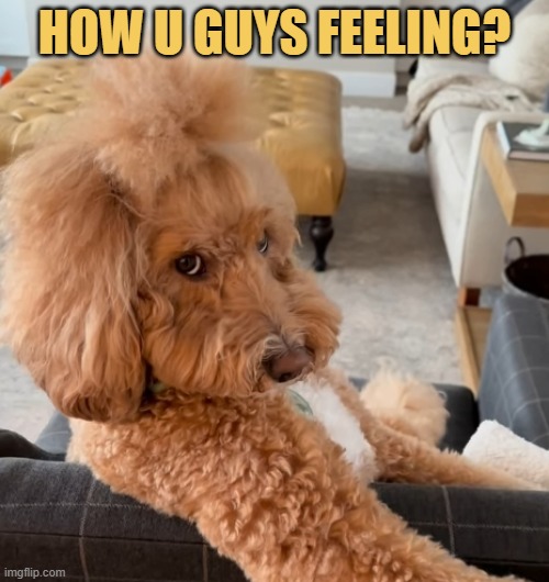 that one co-worker after doing nothing whole day meme
