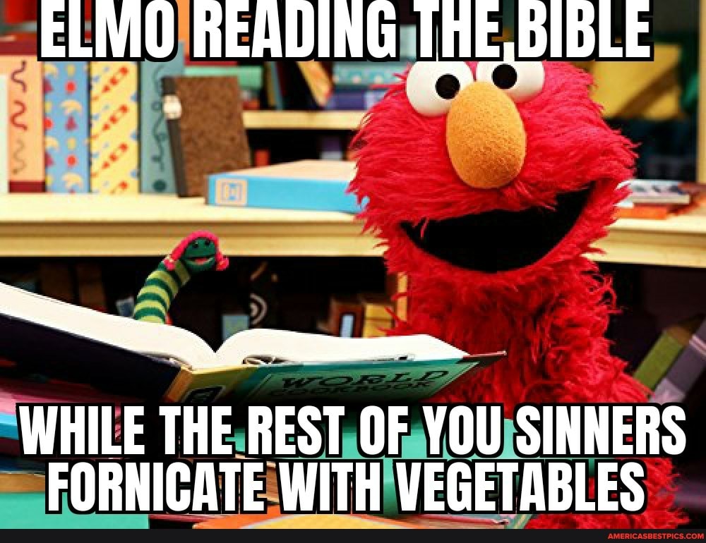 elmo knows what you've been doing! meme