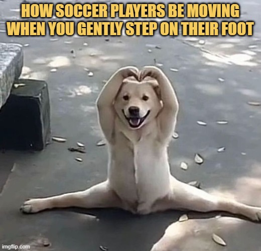 they deserve red card meme