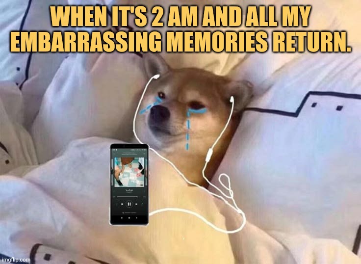 suddenly all my embarrassing thing remembered by me meme