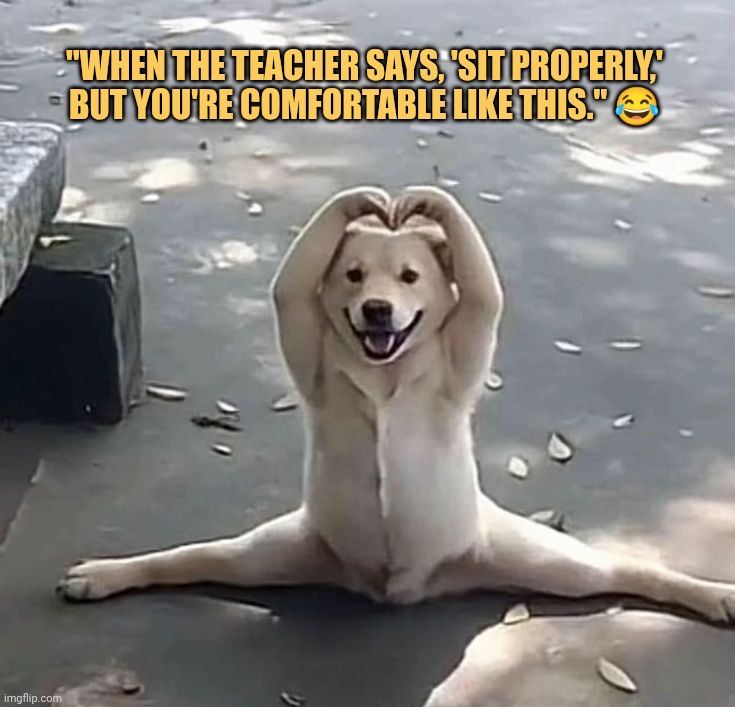 Its my style to sit