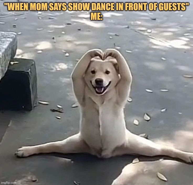 Here is my little trick mom