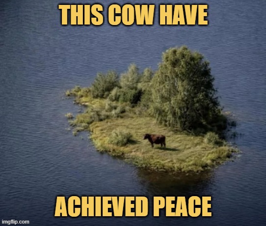 But at what price ... meme