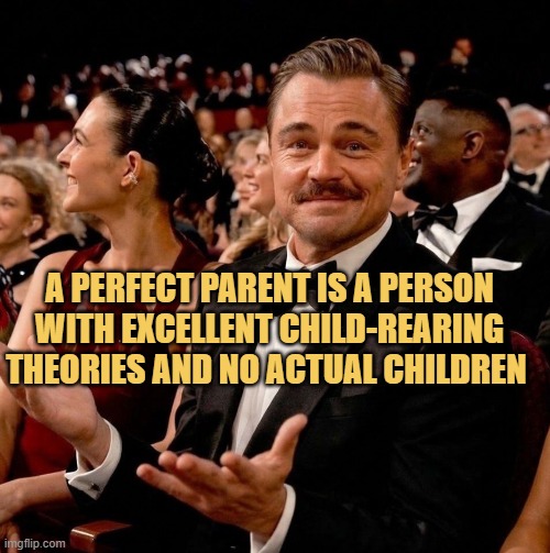a perfect parent meme
