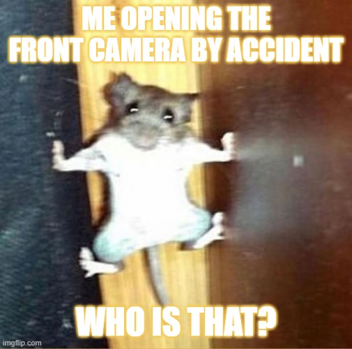 so chopped ahh looking meme