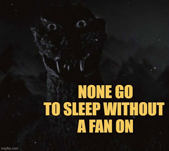 fact about sleep