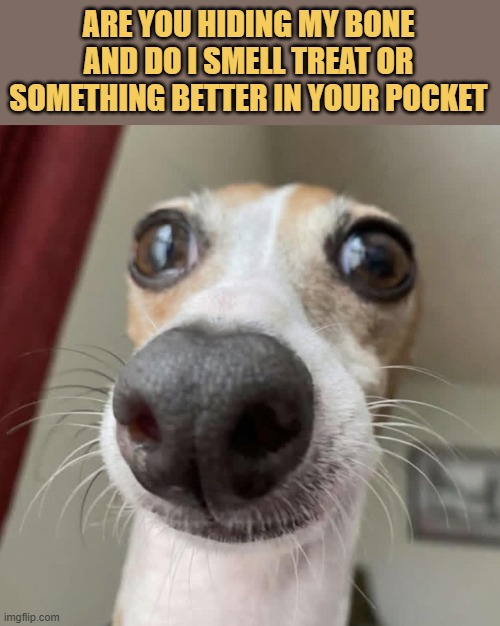 The pocket inspector is on the clock meme