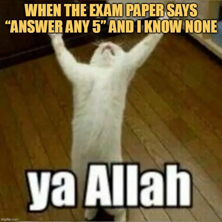 What can I do now?