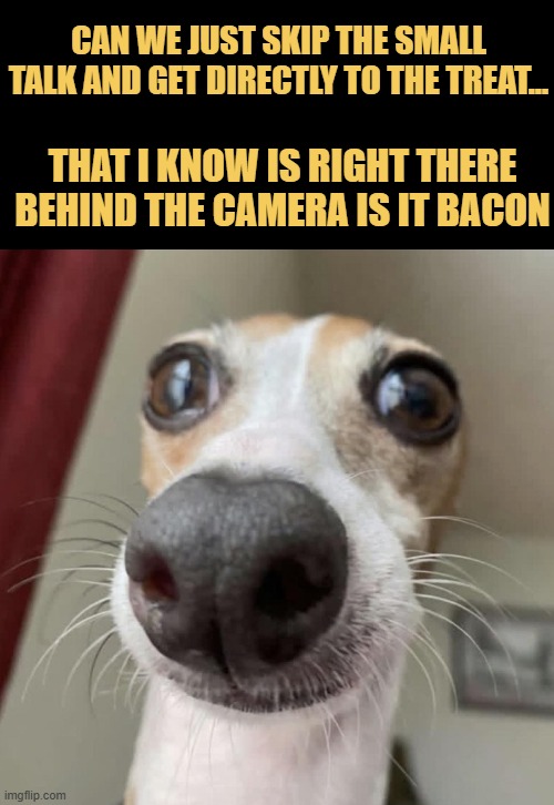 Cut to the delicious chase meme