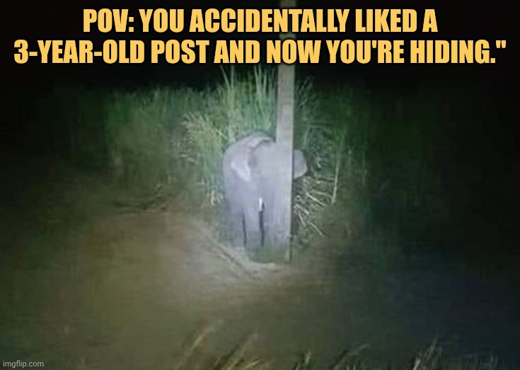 I didn't do it
