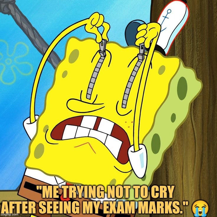 so im just shutting down my eyes by zipper meme