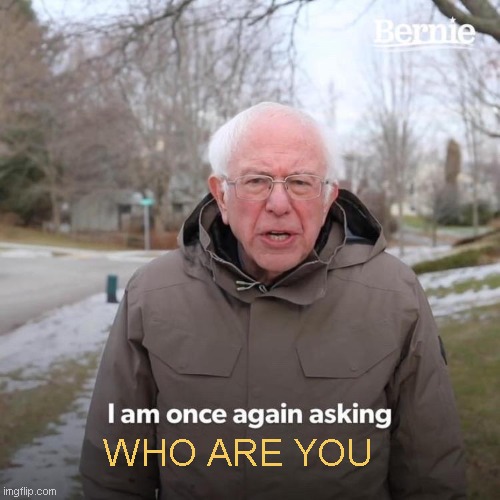 who are you meme