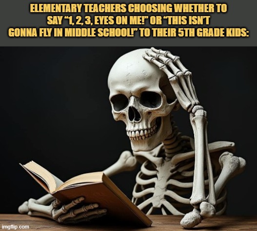 Elementary teachers be like
