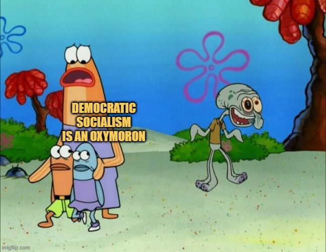 democratic socialism meme