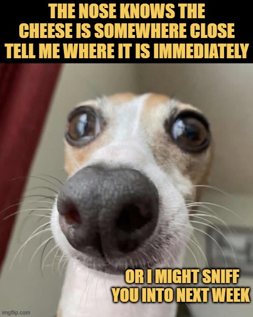 Threats made of pure scent meme