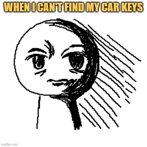 i don't have a car too meme