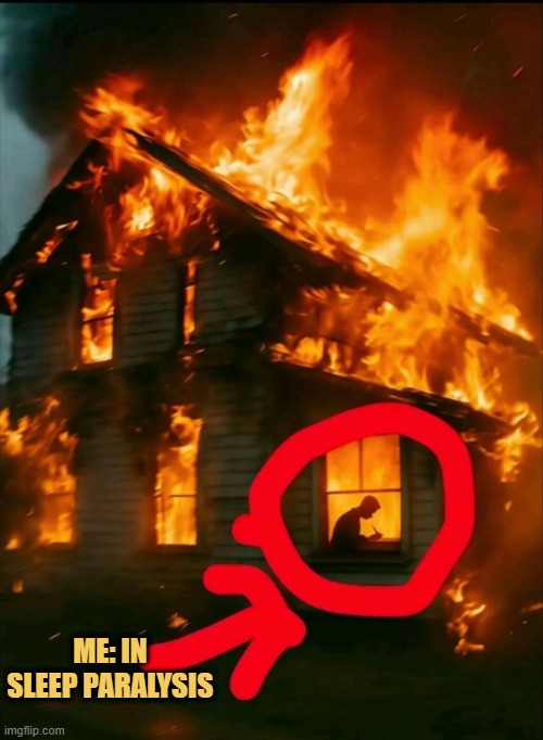 i make memes in my sleep meme