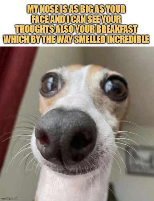 Psychic abilities enabled by snoot meme