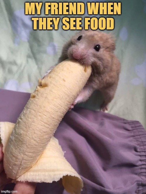 They love foods