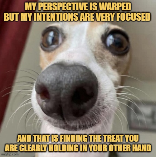 Lasers locked on target  meme