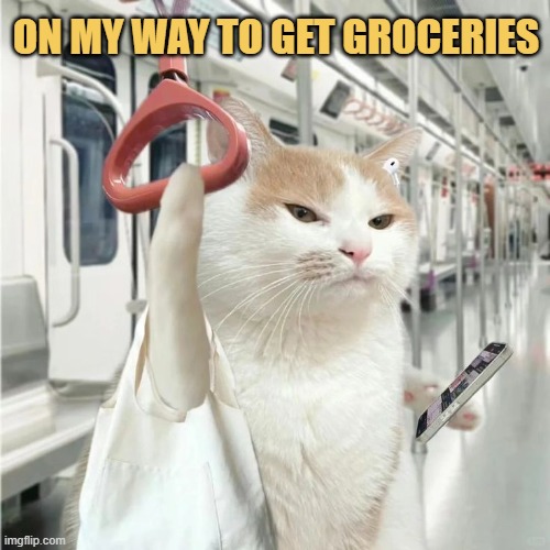 Mostly tuna fish on my grocery list