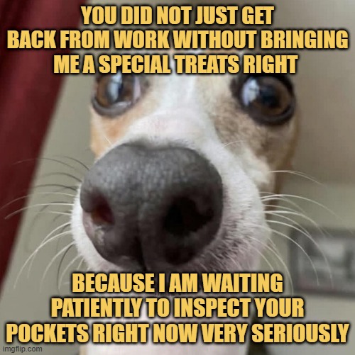 The customs agent is ready meme