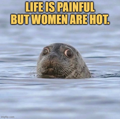Lusty niggas be like